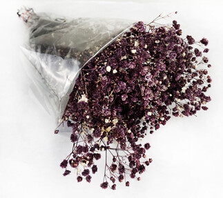 ACARSÜS, ACAR SÜS, Acar Süs - ÇİÇEK DOĞAL CİPSO PK:50 GR KOYU MOR KL:35