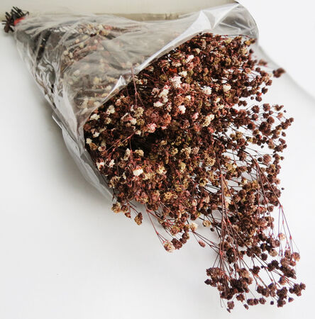 ÇİÇEK DOĞAL CİPSO PK:50 GR RETRO KAHVERENGİ KL:100