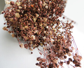 ÇİÇEK DOĞAL CİPSO PK:50 GR RETRO KAHVERENGİ KL:100 - Thumbnail