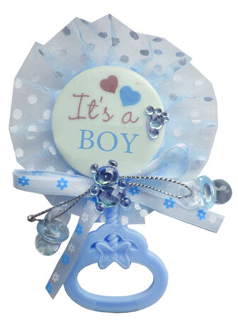 ÇINGIRAK SÜSLÜ MAVİ PK:10-KL:600 ÇINGIRAK SÜSLÜ MAVİ PK:10-KL:600