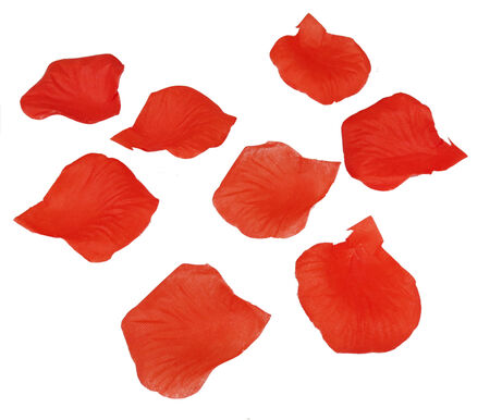 GÜL YAPRAĞI KIRMIZI PK:105 KL:1500