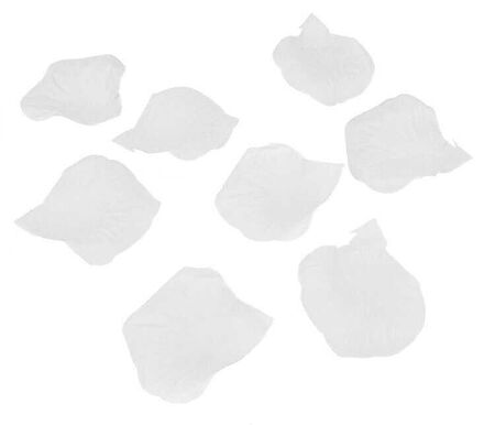 GÜL YAPRAĞI BEYAZ PK:105 KL:1500