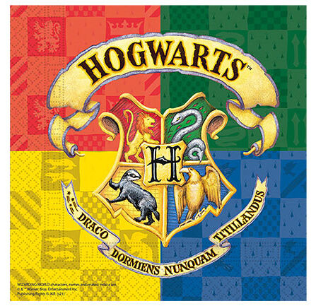 HARRY POTTER HOGWARTS PEÇETE PK:20 KL:12