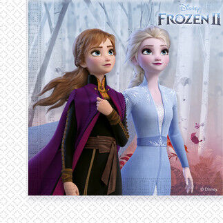 FROZEN PEÇETE PK:20 KL:30