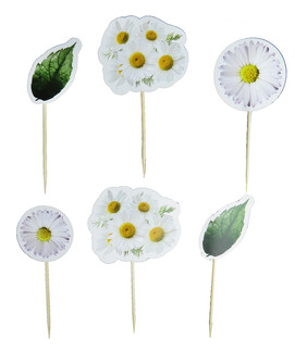 PASTA SÜSÜ PAPATYA PK:6 KL:100 - Thumbnail