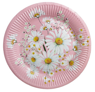 TABAK PAPATYA KARTON 300 GR 23 CM PK:8 KL:300 - Thumbnail