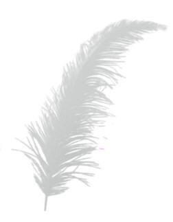  - TÜY KREM PK:100-KL:500