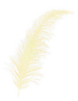 TÜY KREM PK:100-KL:500