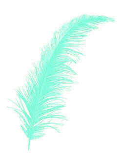 TÜY AÇIK MAVİ PK:100-KL:500